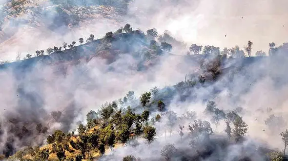 سوءمدیریت عامل بیش از 60 درصد آتش سوزی جنگل ها در ایران / لزوم تهیه تجهیزات برای مهار آتش سوزی جنگل ها