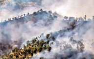 سوءمدیریت عامل بیش از 60 درصد آتش سوزی جنگل ها در ایران / لزوم تهیه تجهیزات برای مهار آتش سوزی جنگل ها