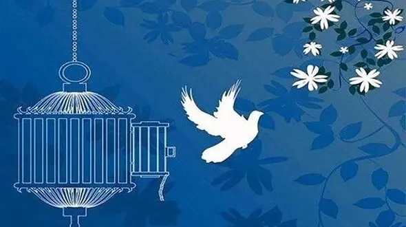 یک محکوم به قصاص در کردکوی به حرمت امام رضا (ع) بخشیده شد 