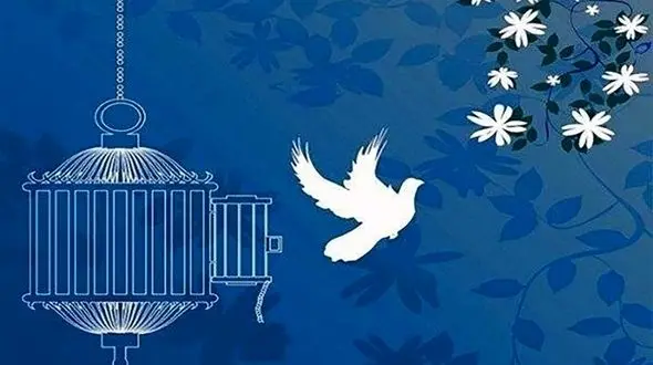 بخشش قاتل از قصاص با رضایت اولیای دم در رامسر