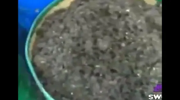 قلیان با اسانس پهن / تولید توتون و تنباکو با فضولات حیوانی در دزفول ! + فیلم