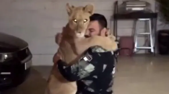 جنجال فیلم توله شیر امیر علی اکبری / تشکیل پرونده قضایی برای او به دلیل تخلف محیط زیستی