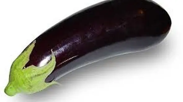 نشانه های حساسیت به بادمجان / زمان مراجعه به پزشک!