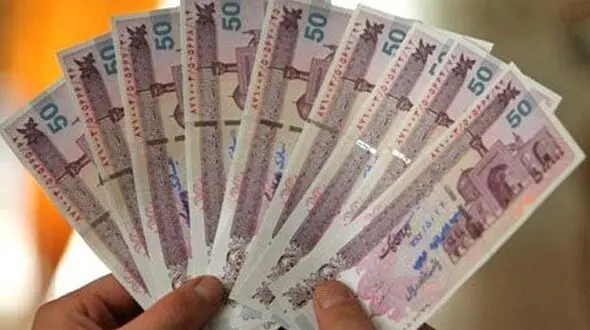 محمد رضا انصاری: نقدینگی بالا در کشور مخرب است+فیلم