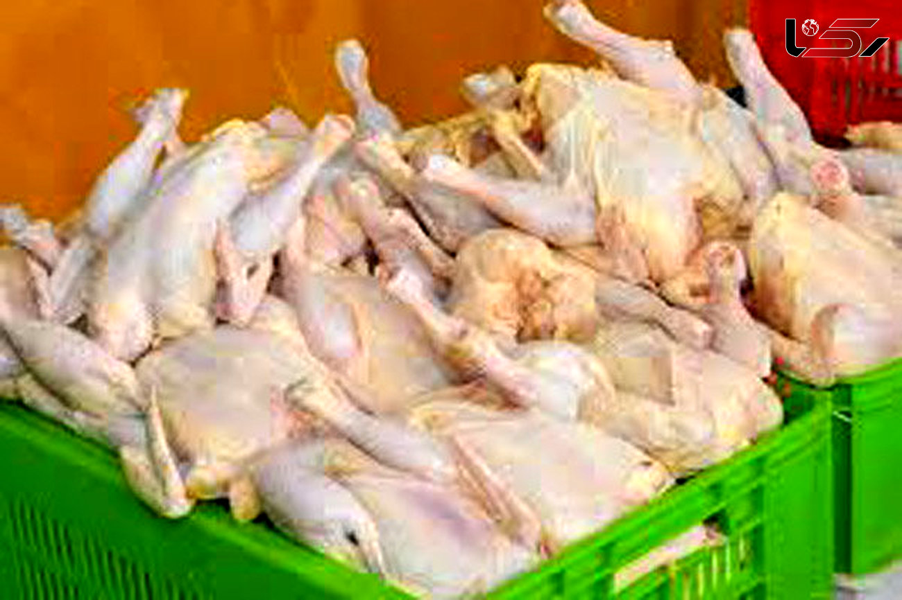 احتمال افزایش قیمت مرغ