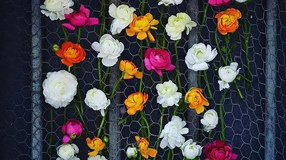 فال و طالع بینی شما در 4 دی + فیلم