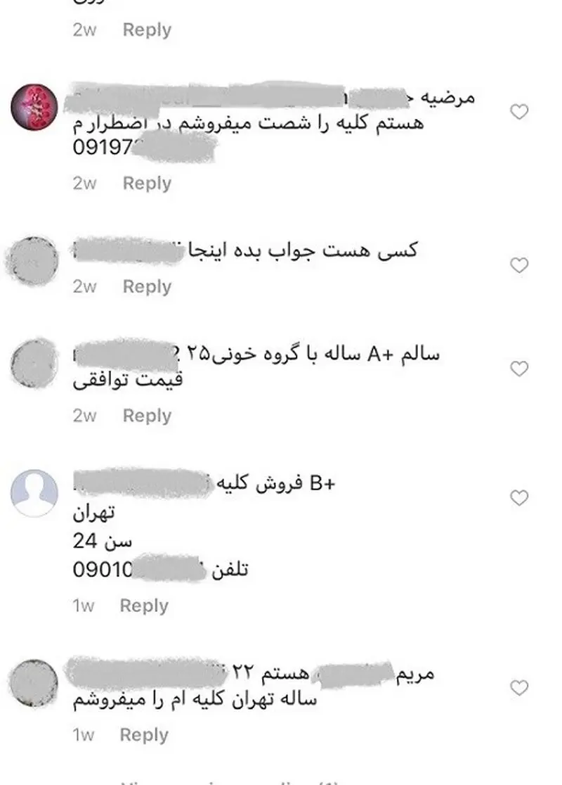 636554184049068534