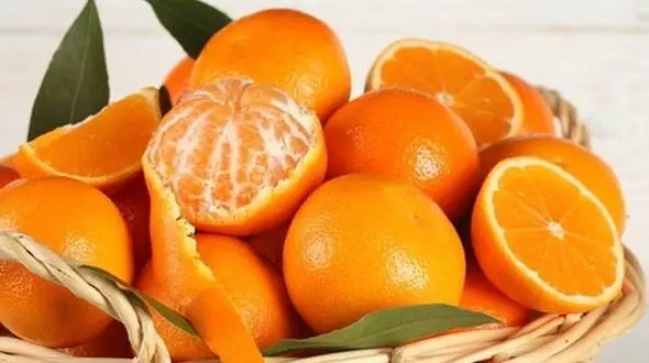 نارنگی حافظه و هوش  را تقویت می کند