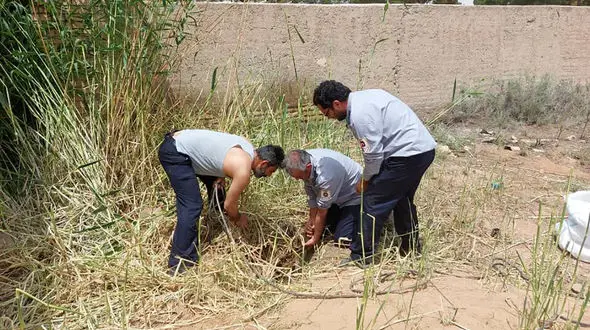 مرگ معمایی چوپان جوان در چاه / پلیس وارد عمل شد + عکس
