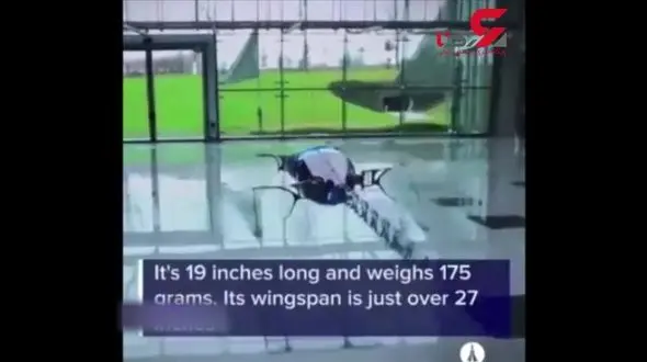رباتی که مانند سنجاقک پرواز می‌کند! + فیلم
