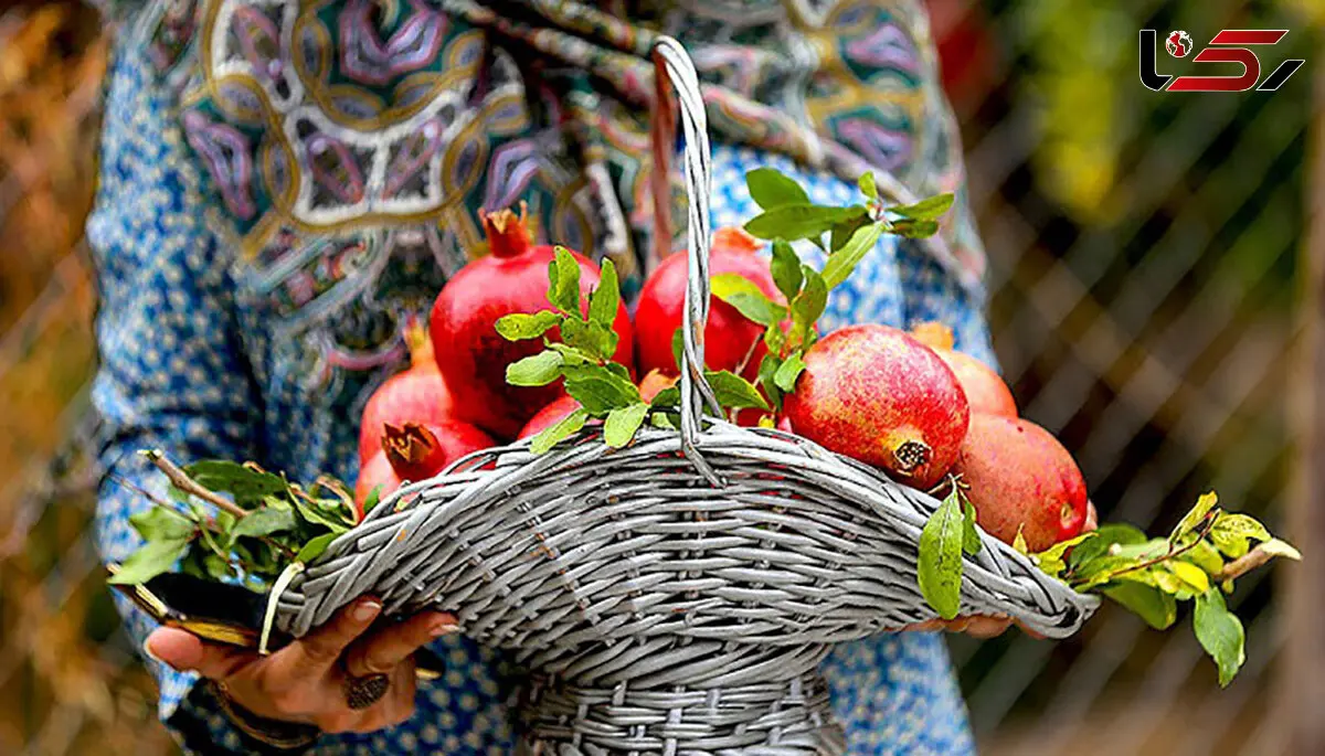 در روز‌های کرونایی این میوه ها را بخورید 