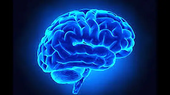 سکته مغزی، عارضه‌ای خطرناک