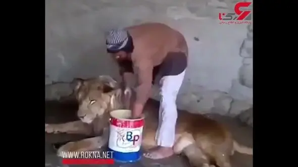 این مردخطرناک ترین شغل دنیا را دارد! + فیلم