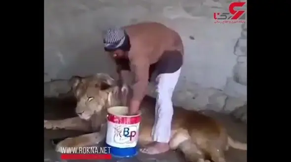 این مردخطرناک ترین شغل دنیا را دارد! + فیلم