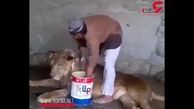 این مردخطرناک ترین شغل دنیا را دارد! + فیلم
