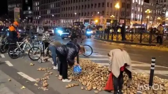 بروکسل در شوک سیب‌زمینی؛ شهروندان از خیابان‌ها برداشت کردند + فیلم