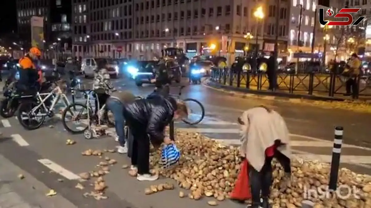 بروکسل در شوک سیب‌زمینی؛ شهروندان از خیابان‌ها برداشت کردند + فیلم