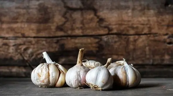 درمان طبیعی موهای کم پشت و نازک