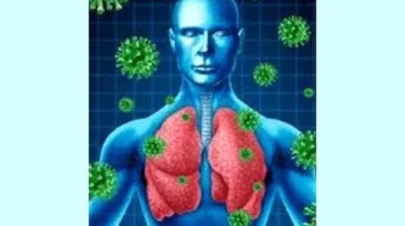 بهبودیافتگان کرونا چه بخورند؟