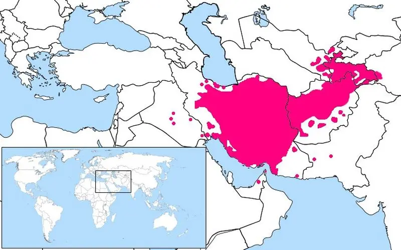 نقشه پراکندگی زبان فارسی