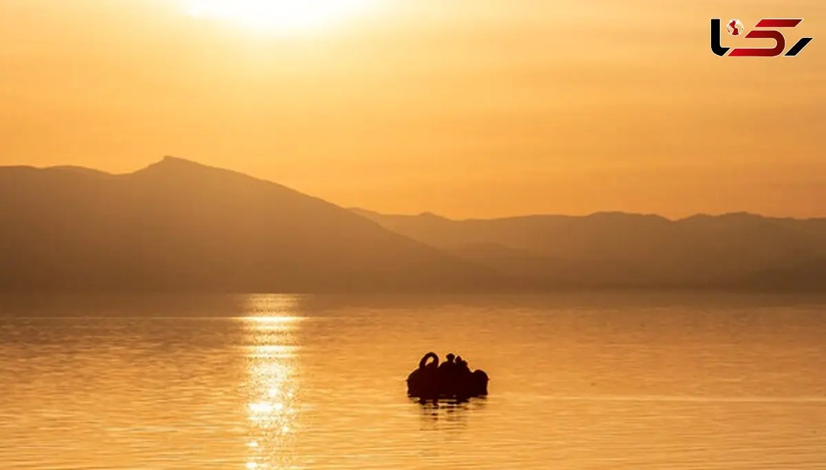 دریاچه ارومیه در نقطه‌ای میان بحران و احیا قرار گرفت / تراز ۱۲۷۰.۷۰ متر؛ دریاچه در موقعیت شکننده اما قابل مدیریت