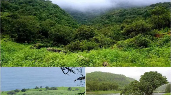 تصاویری باورنکردنی از یمن که تاکنون ندیده‌اید! + عکس