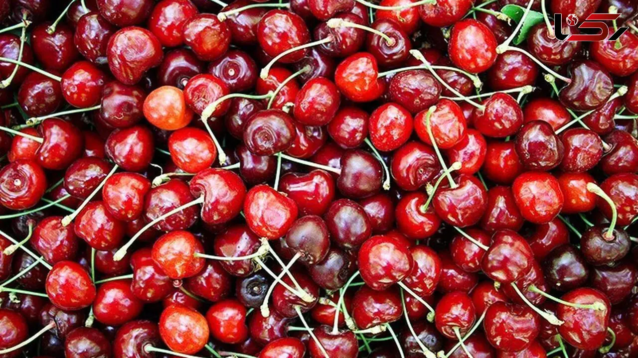 قیمت میوه های نوبرانه در بازار چند؟ گیلاس هر کیلو 160 هزار تومان