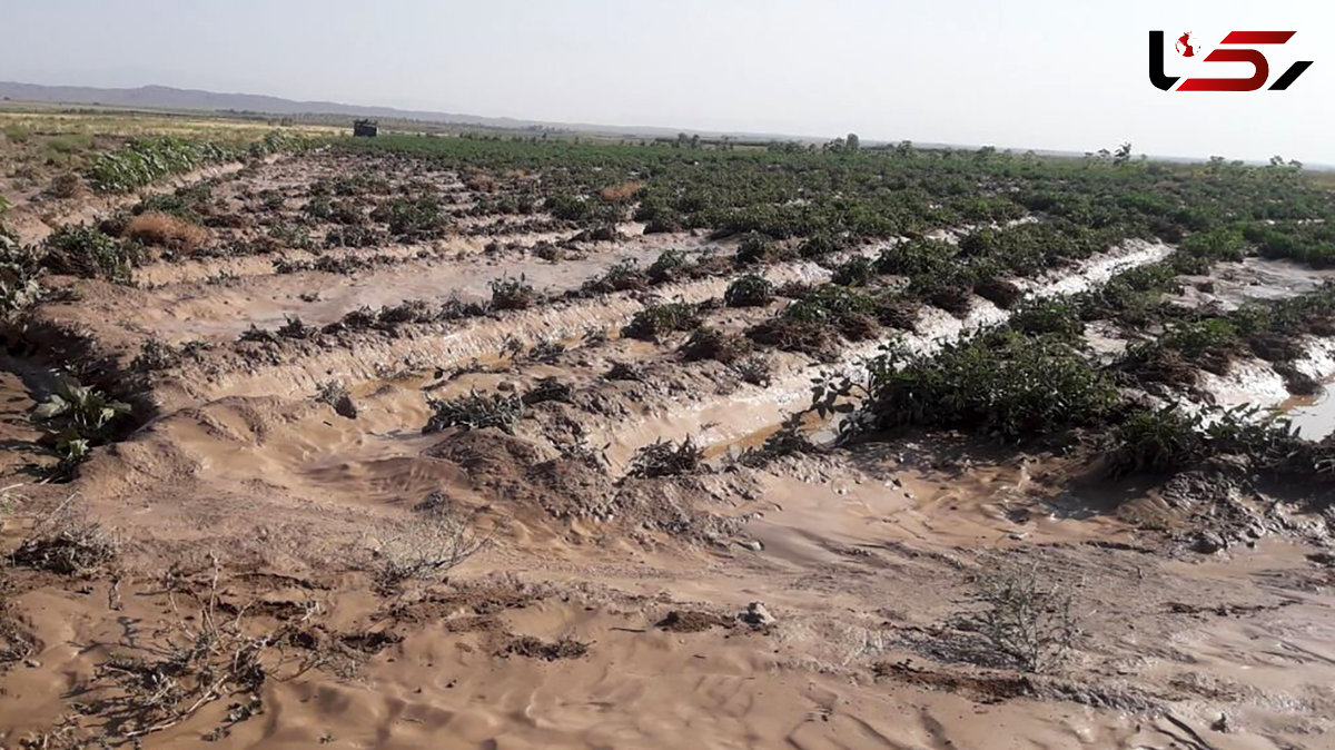 سیلاب به برخی روستاهای شاهوار شاهرود خسارت زد