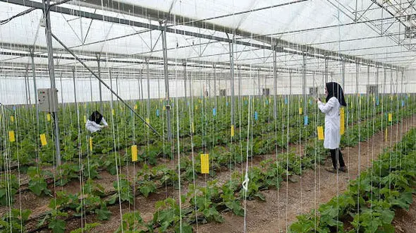 واگذاری قسطی شهرک‌های کشاورزی به متقاضیان