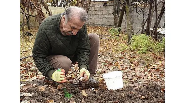 حیاط خانه مهران رجبی + عکس 