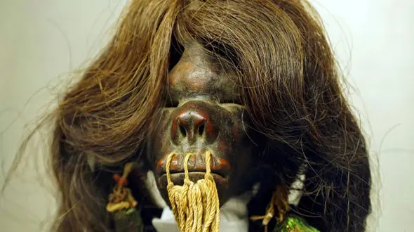 راز سر کوچک کشف شده قبیله در آمازون+عکس