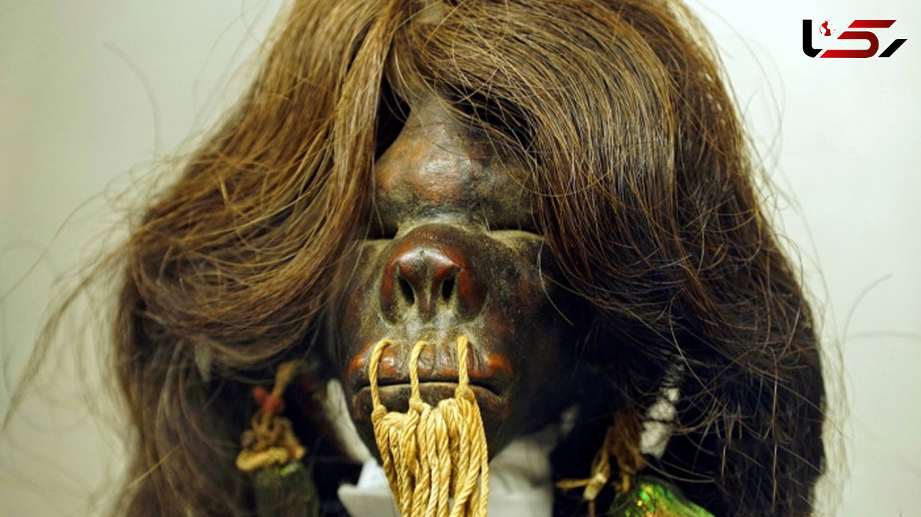 راز سر کوچک کشف شده قبیله در آمازون+عکس