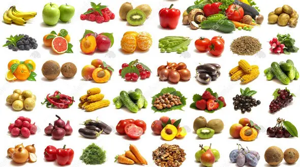 دنیای میوه ها به انگلیسی + فیلم