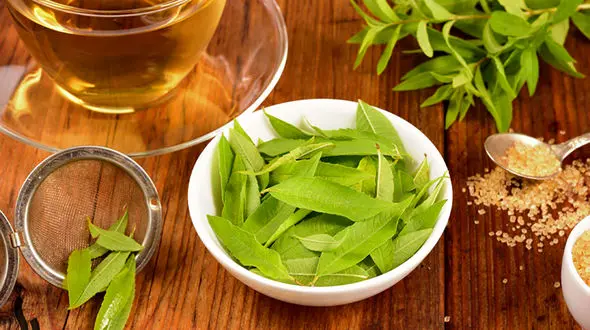 6 دمنوش کاهش استرس + طرز تهیه 