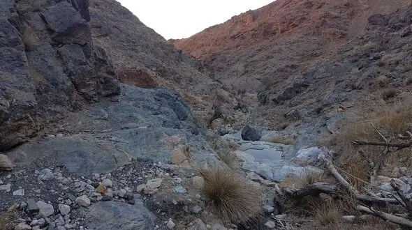 بازگشت آب به چشمه خشکیده یزد؛ امید تازه حیات‌وحش در فصل گرما