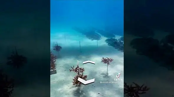 فیلم/ مکان عجیب و غریبی که گوگل ارث در زیر دریا کشف کرد! 