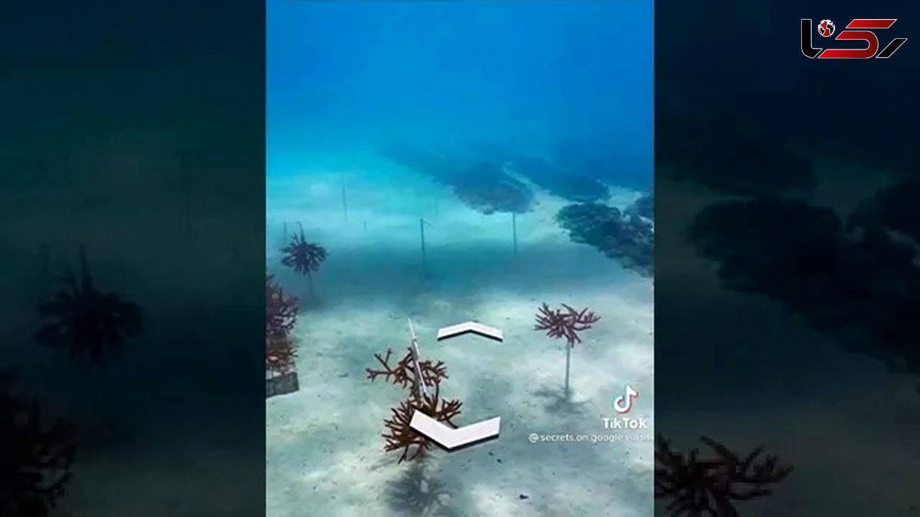فیلم/ مکان عجیب و غریبی که گوگل ارث در زیر دریا کشف کرد! 