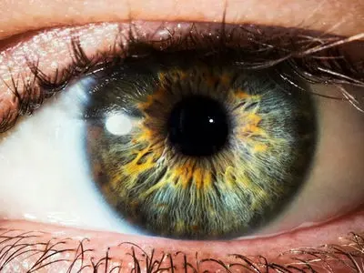 اختراع شبکه مصنوعی با کاربرد فراتر از بینایی