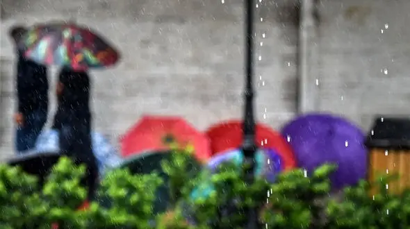 فردا هوای کشور آرام است/ آخر هفته برفی و بارانی می شود 