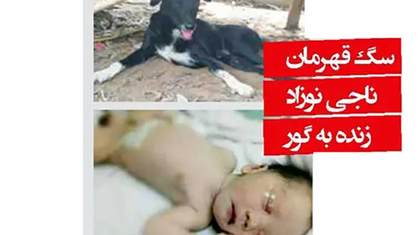 سگ قهرمان نوزادی که توسط مادر تایلندی زنده به گور شده بود را نجات داد+ عکس