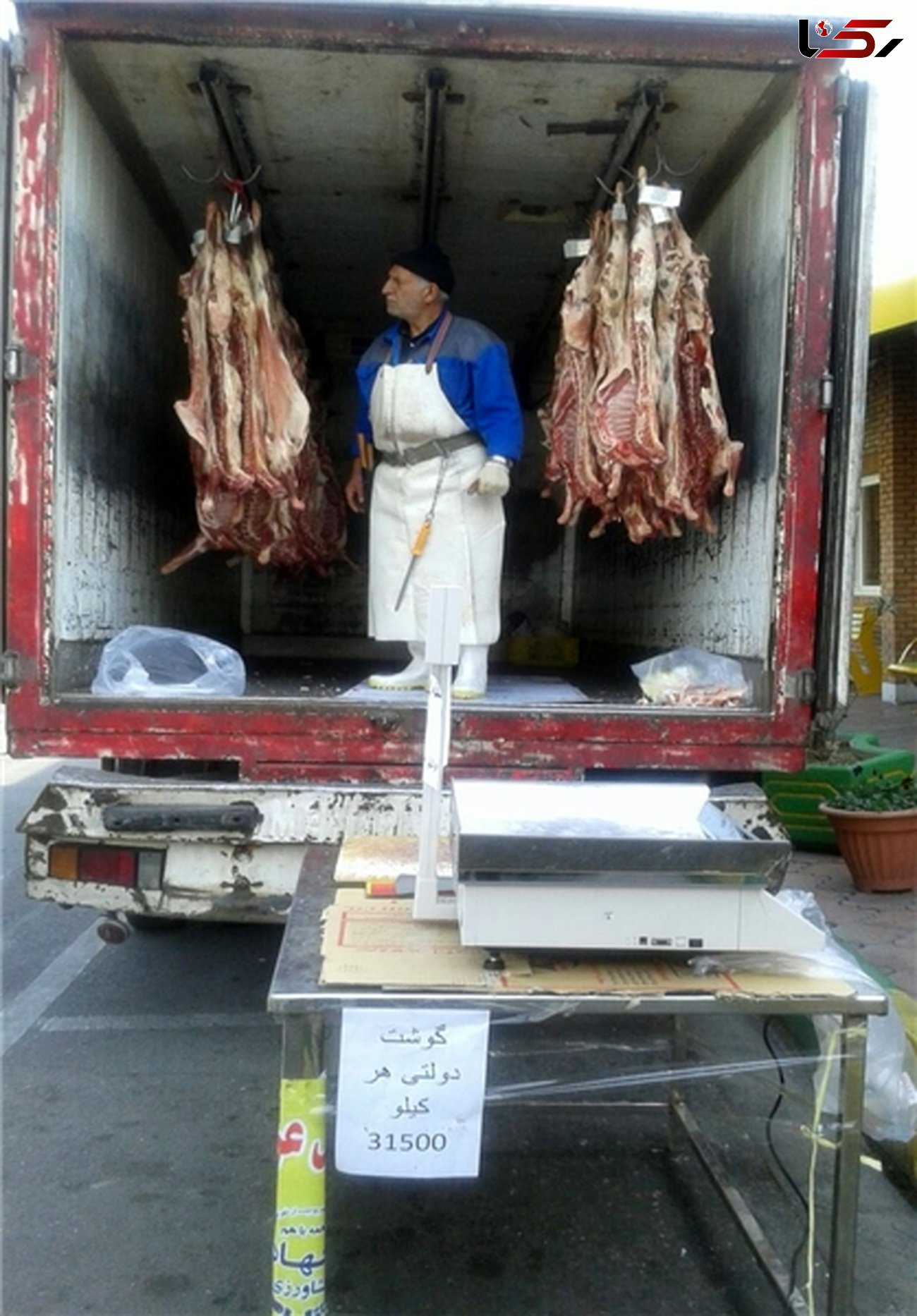 گوشت گوسفندی کیلویی ۳۱۵۰۰ تومان
