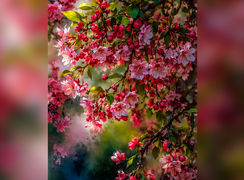 فال و طالع بینی روزانه 12 اردیبهشت + فیلم 
