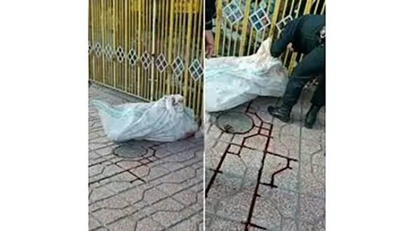  کشف جسد مرد پژوسوار در کیسه گونی + عکس عجیب