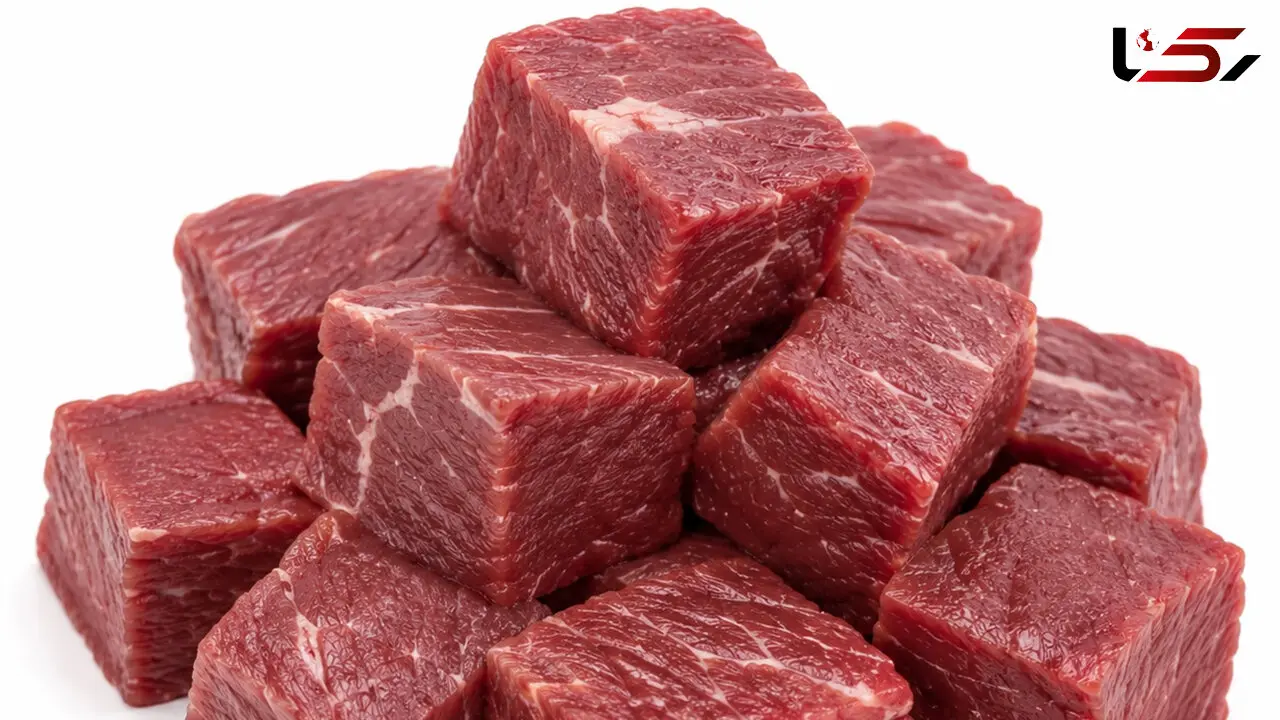 گوشت شتر چه خواصی دارد؟ / پاسخ به سوالات متداول