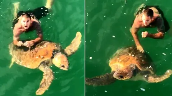 صید غول پیکری که ماهی گیران را به دردسر انداخت / 15 دقیقه تلاش برای نجات + فیلم و عکس