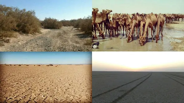 آقای رئیسی! به داد بی آبی جنوب کرمان برسید / تالاب جازموریان در معرض خشک شدن کامل + فیلم