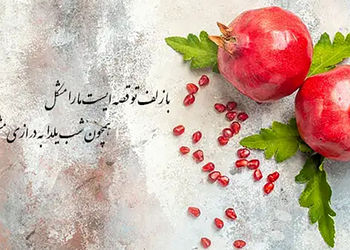 فال حافظ امروز 3 دی + فیلم