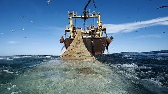 صید ترال ماهی در ایران متوقف شد 