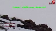 پلنگ ایرانی در ارتفاعات برفی طالقان دیده شد + فیلم