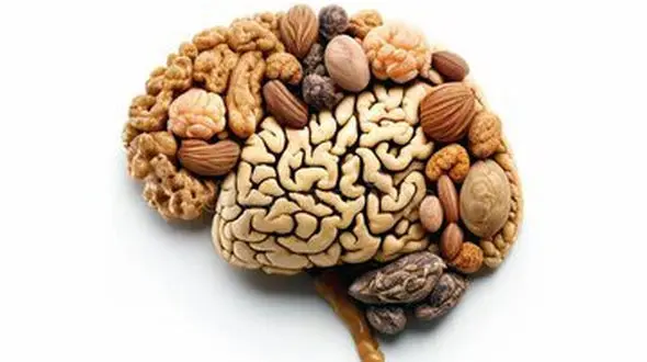 راه های ساده برای تقویت مغز و پیشگیری از زوال عقل